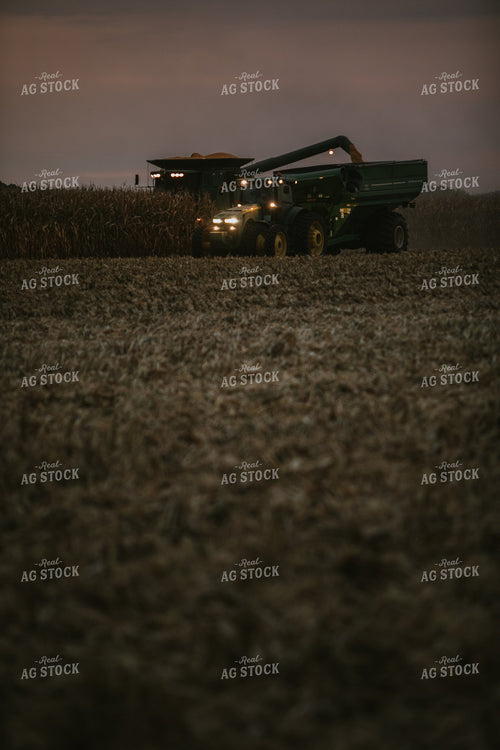 Corn Harvest 6705