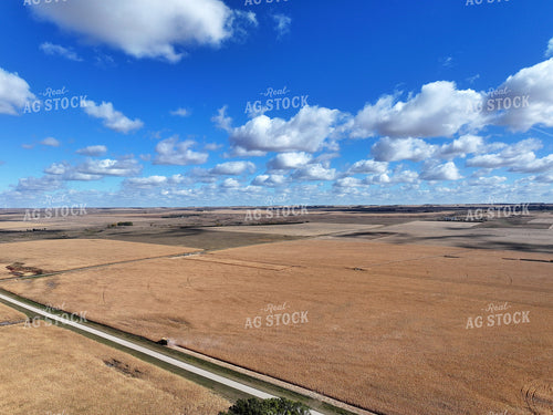 Aerial of Corn Harvest 141187