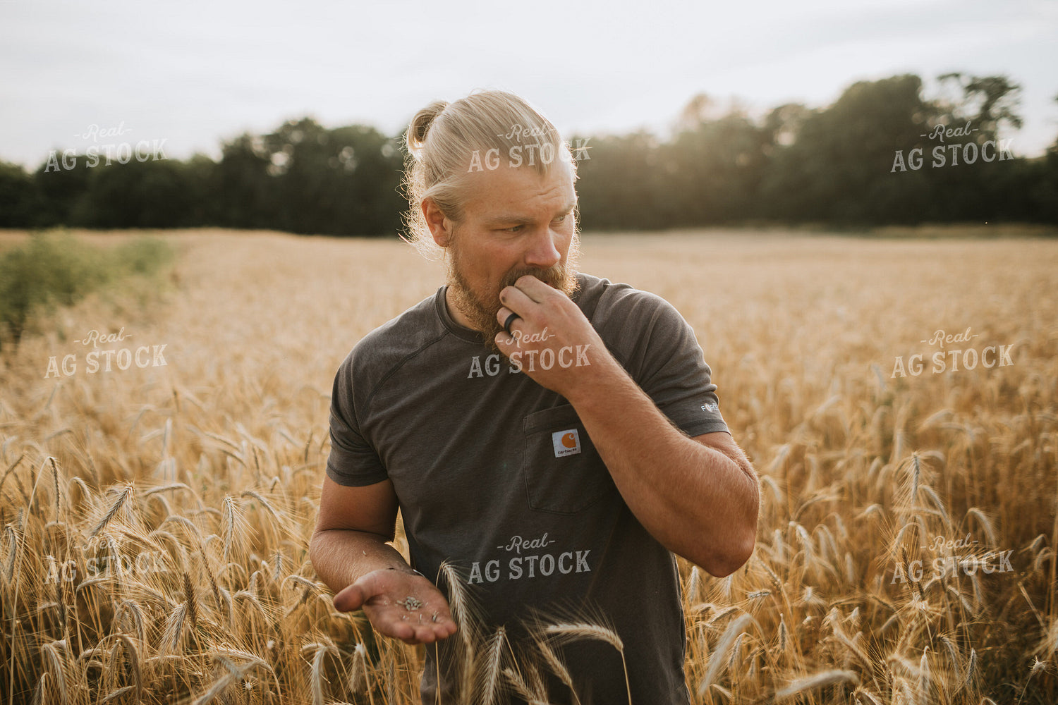 Farmer in Rye Field 5971