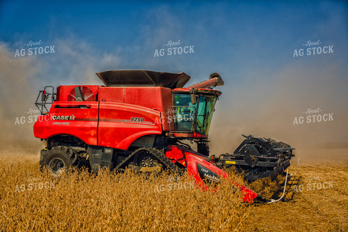 Soybean Harvest 153007