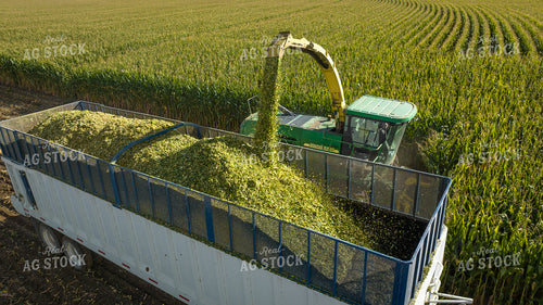 Silage Harvest 56536