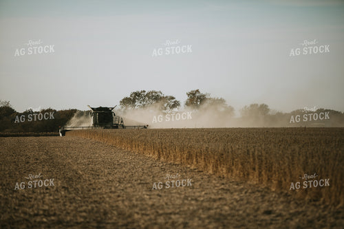 Soybean Harvest 7193