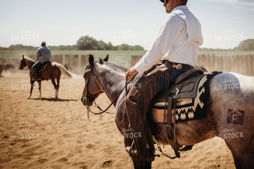 Sorting Cattle on Horseback 281104