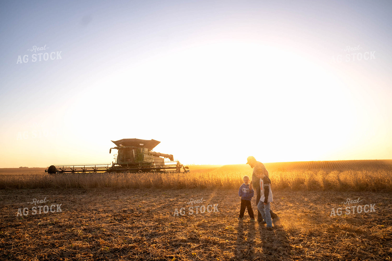 Farm Family by Combine 115602