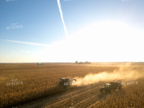 Aerial of Corn Harvest 115570