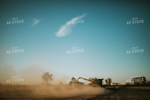 Combine Loading Auger Cart During Soybean Harvest 5095