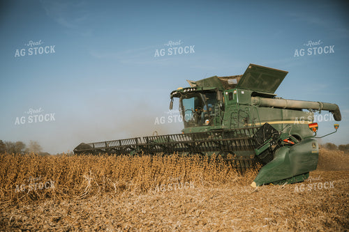 Soybean Harvest 7188
