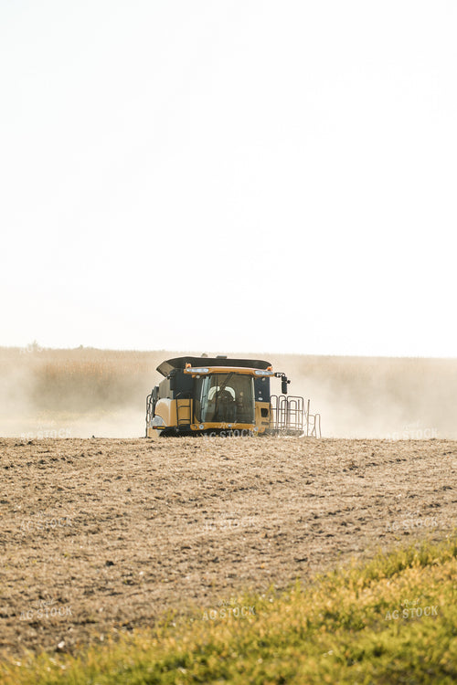 Soybean Harvest 215074