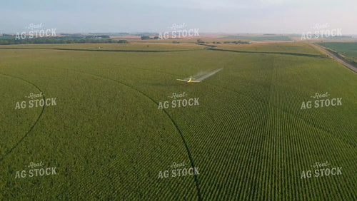 Crop Duster Spraying Corn Field 65183