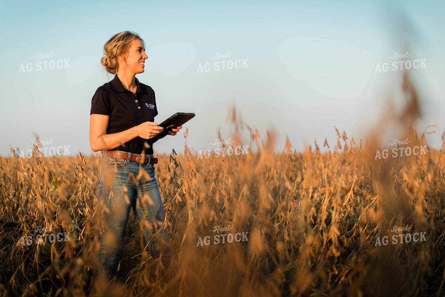 Female Agronomist on Tablet in Field 8327