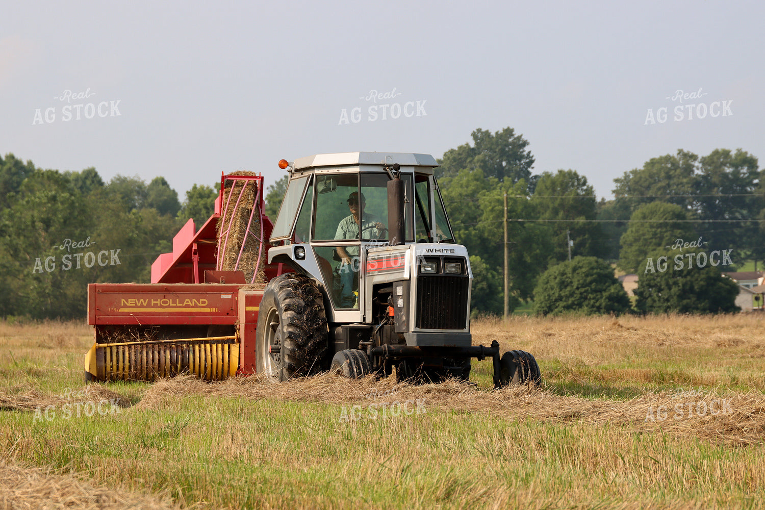 Baling Hay 52298