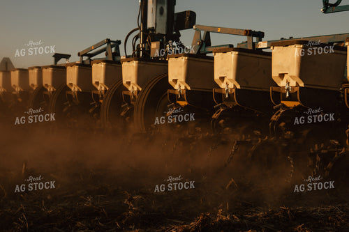 Planting 67567