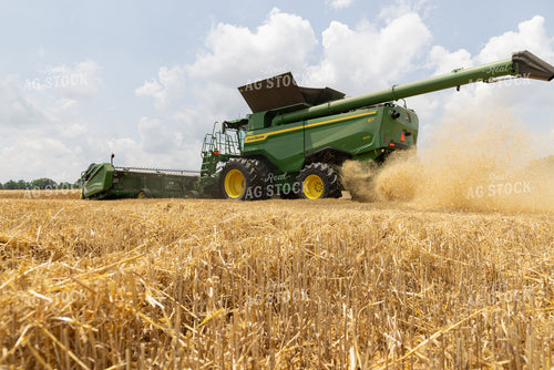 Wheat Harvest 79810