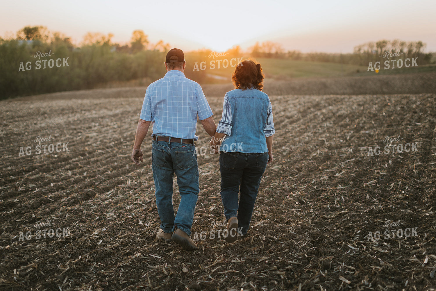 Couple Walk in Field at Sunset 7735