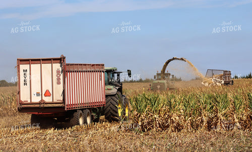 Silage Harvest 141764