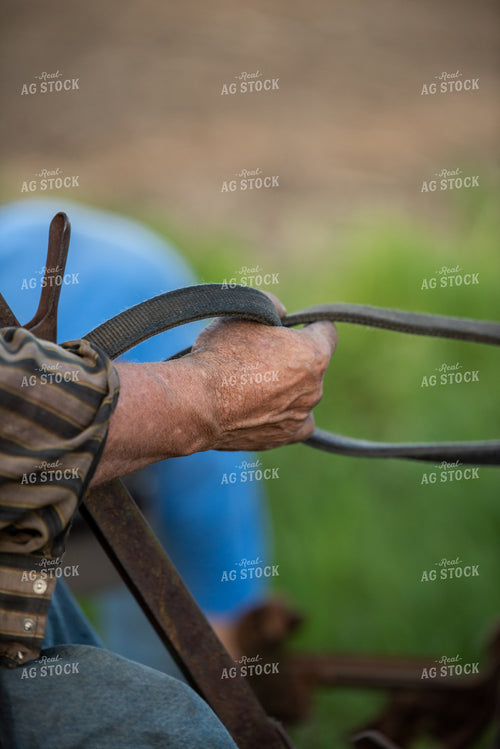 Farmer Holding Reins 76575