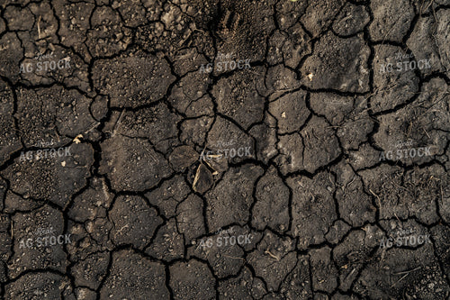 Crusted Soil 68295