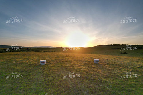 Idyllic Sunset Over Rolling Countryside with Buckets on Grassy Field 65237