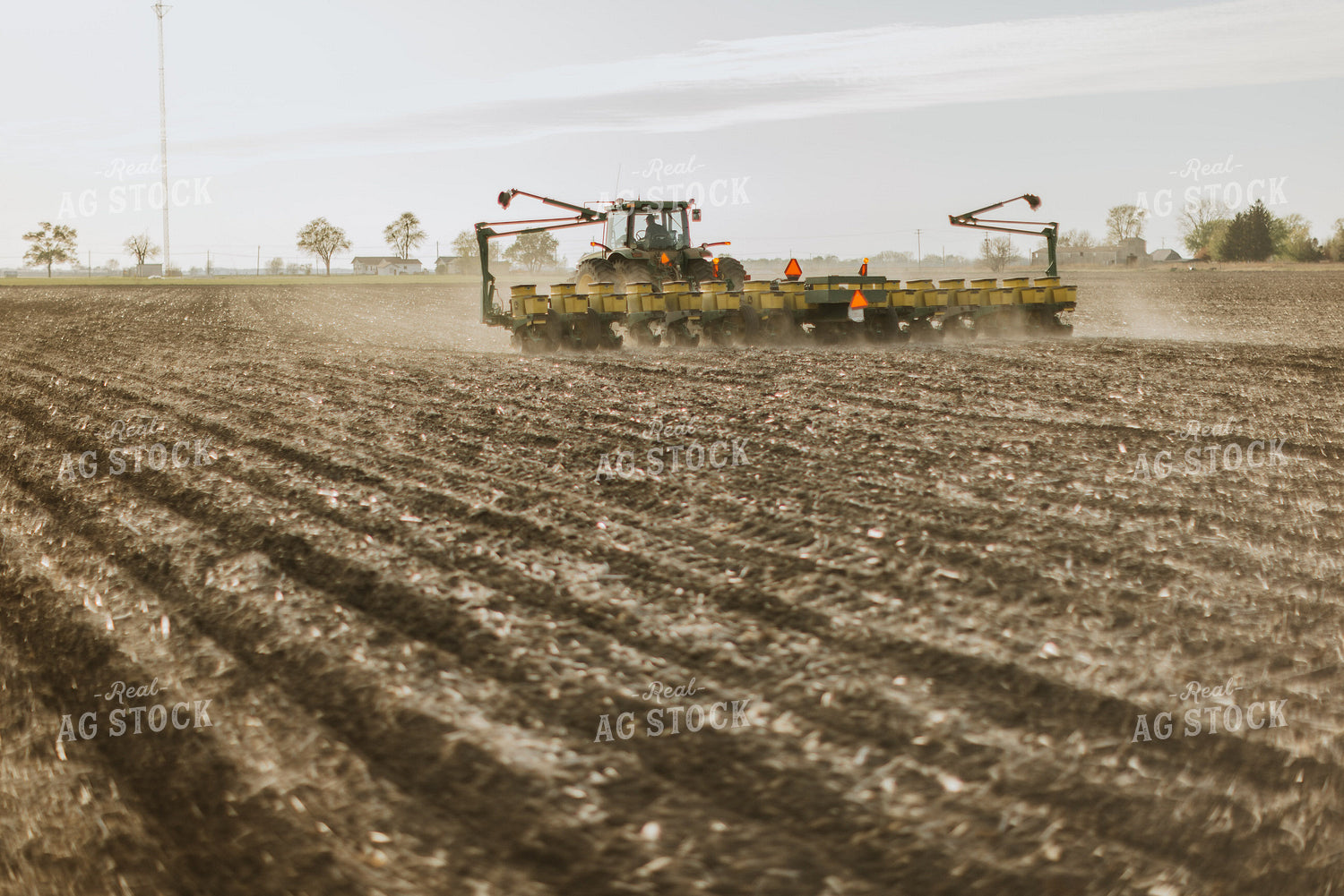 Planting 8143