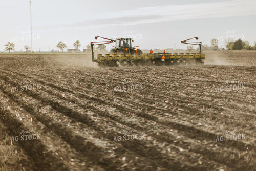 Planting 8143