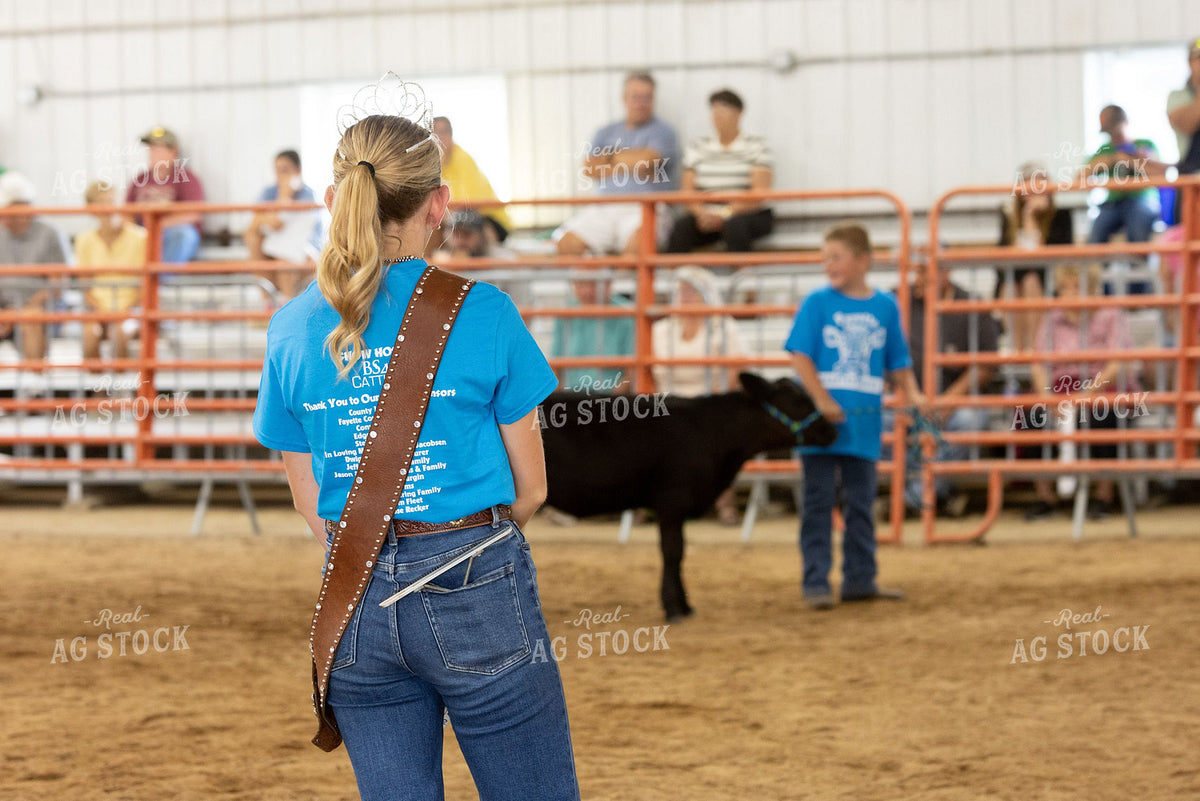 Youth Cattle Show Queen Watches Boy Lead Black Calf in Show Ring 405018