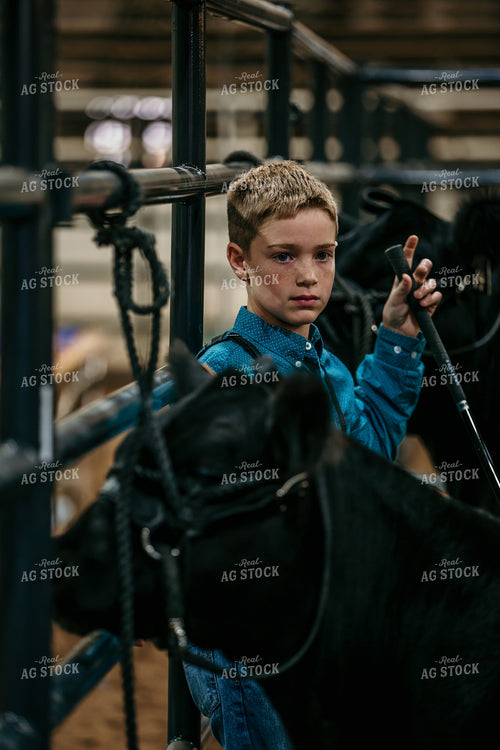 Farm Kid Showing Cow 98032