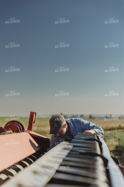 Farmer Working on Combine Head 61107