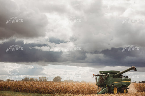 Combine Harvesting Corn with Stormy Sky 3343