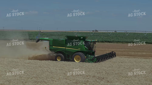 Wheat Harvest 239328