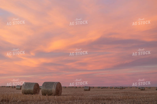 Round Bales at Sunset 303055