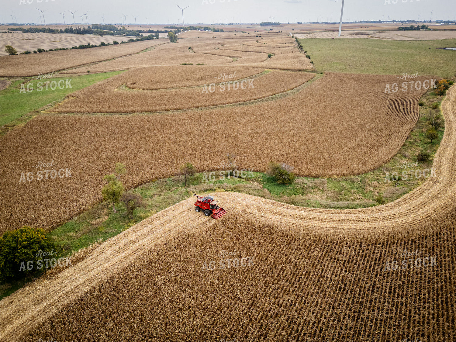 Aerial of Corn Harvest 268139