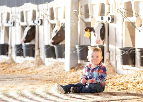 Farm Kid in Calf Barn 55113