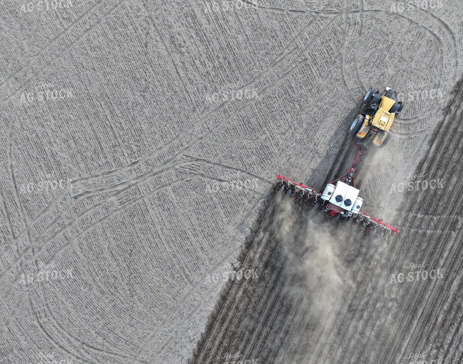 Planting 141130