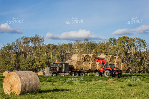 Loading Hay Bales onto Trailer 138131