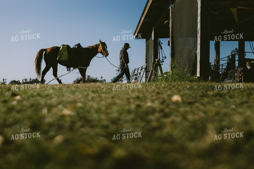 Rancher and Horse 7306