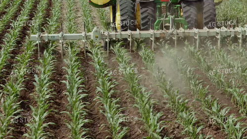Ripping Corn 239324