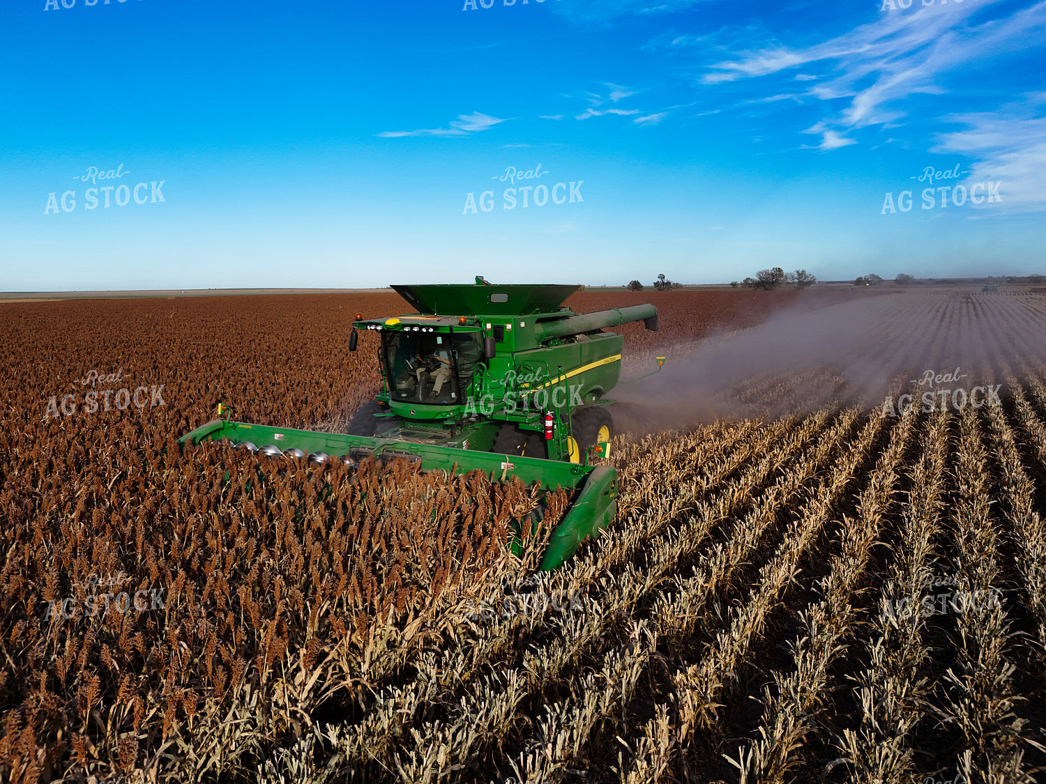Milo Harvest 239418