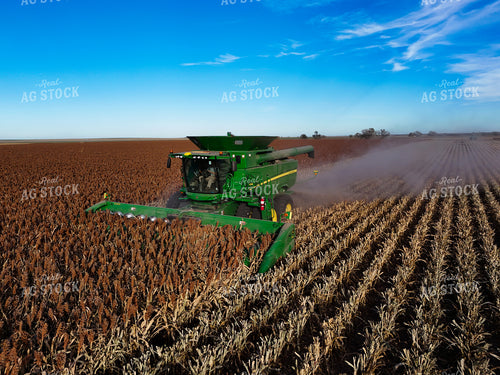 Milo Harvest 239418
