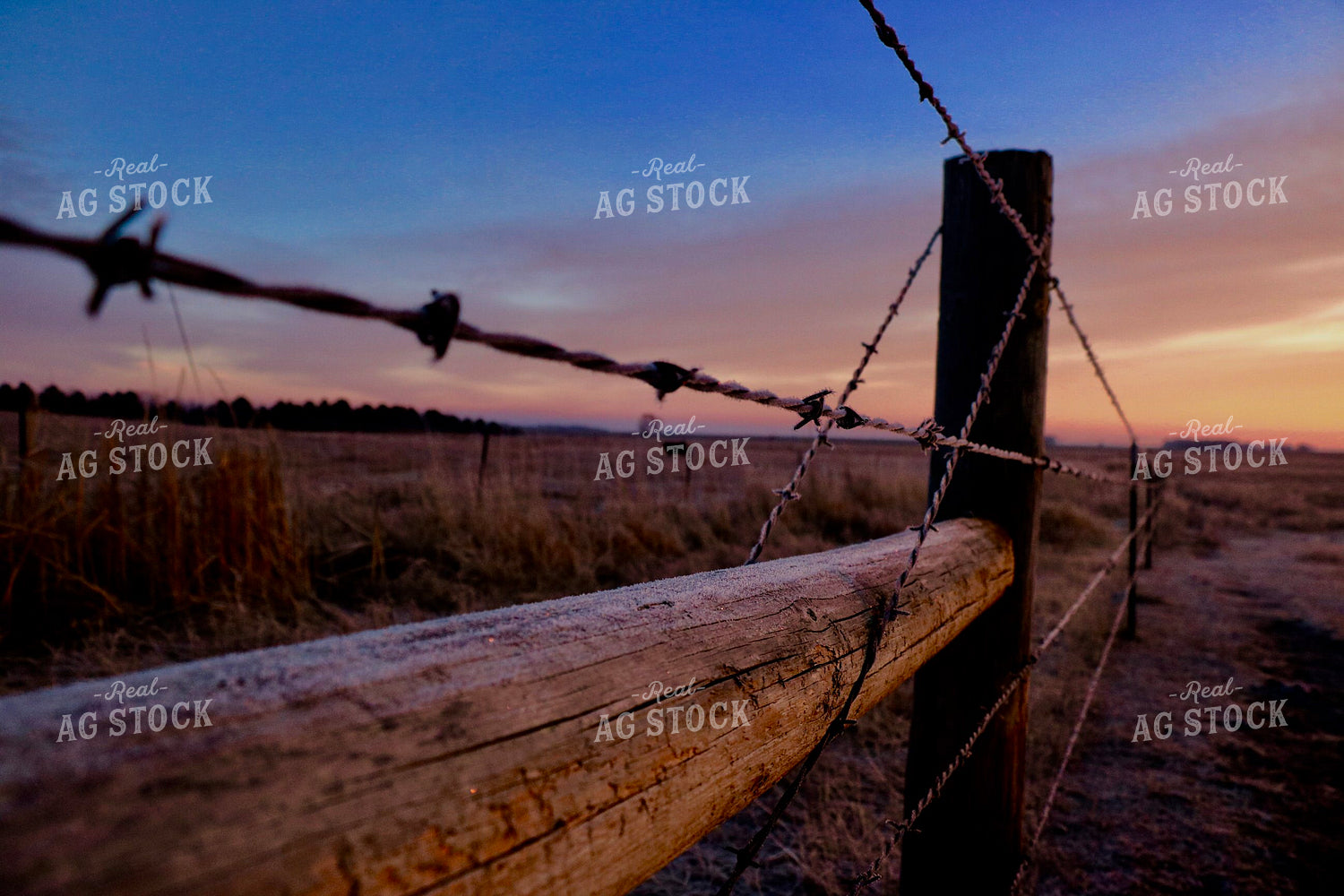 Barbed Wire Fence at Sunset 299226