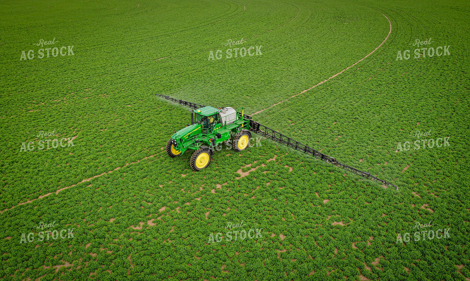 Spraying Alfalfa Hay 56014