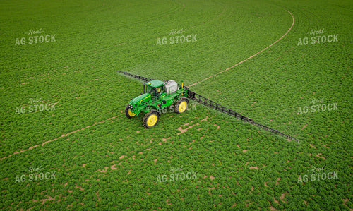 Spraying Alfalfa Hay 56014