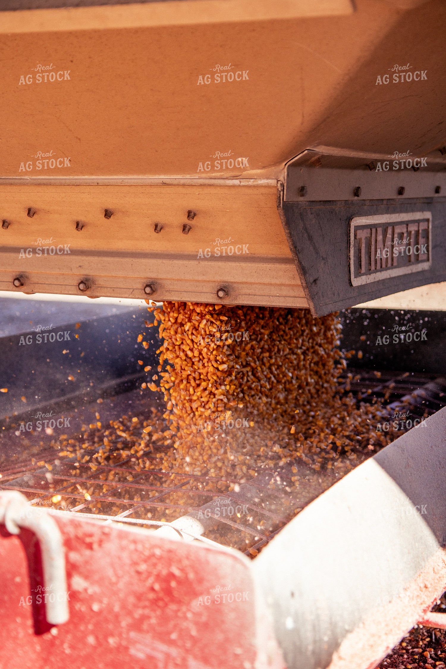 Corn Dumping into Sweep Auger 67537