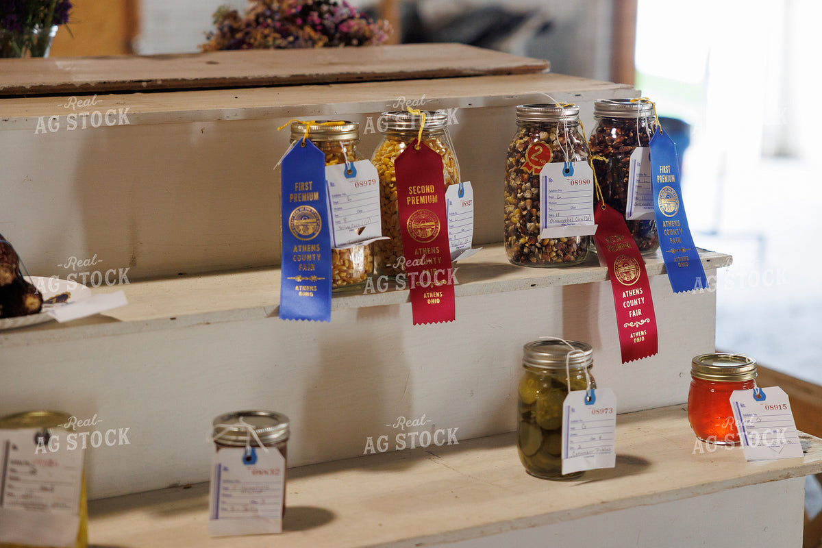 County Fair Exhibits 295185