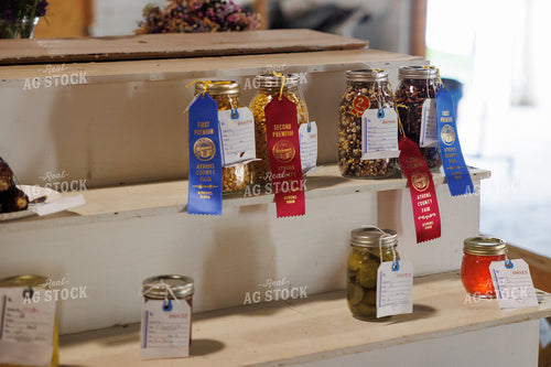 County Fair Exhibits 295185