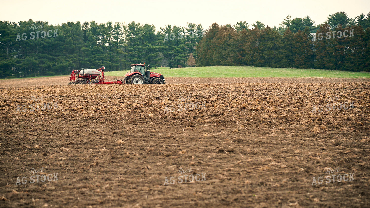 Planting into Tilled Cover Crops 25127