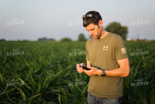 Young Farmer Using Phone in Corn Field 8157