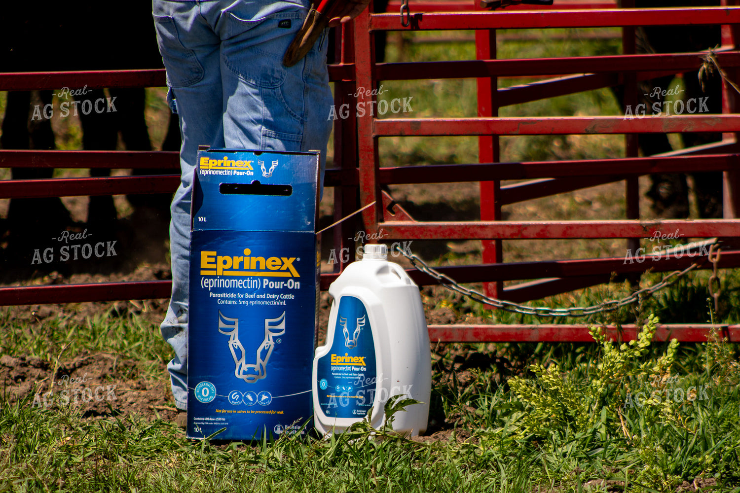 Cattle Pour-On Parasite Control 214289
