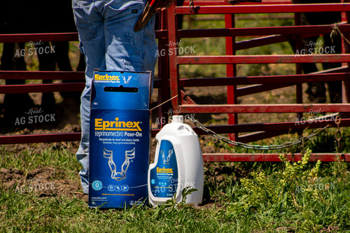 Cattle Pour-On Parasite Control 214289