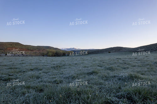 Frost on Hay Field 65735