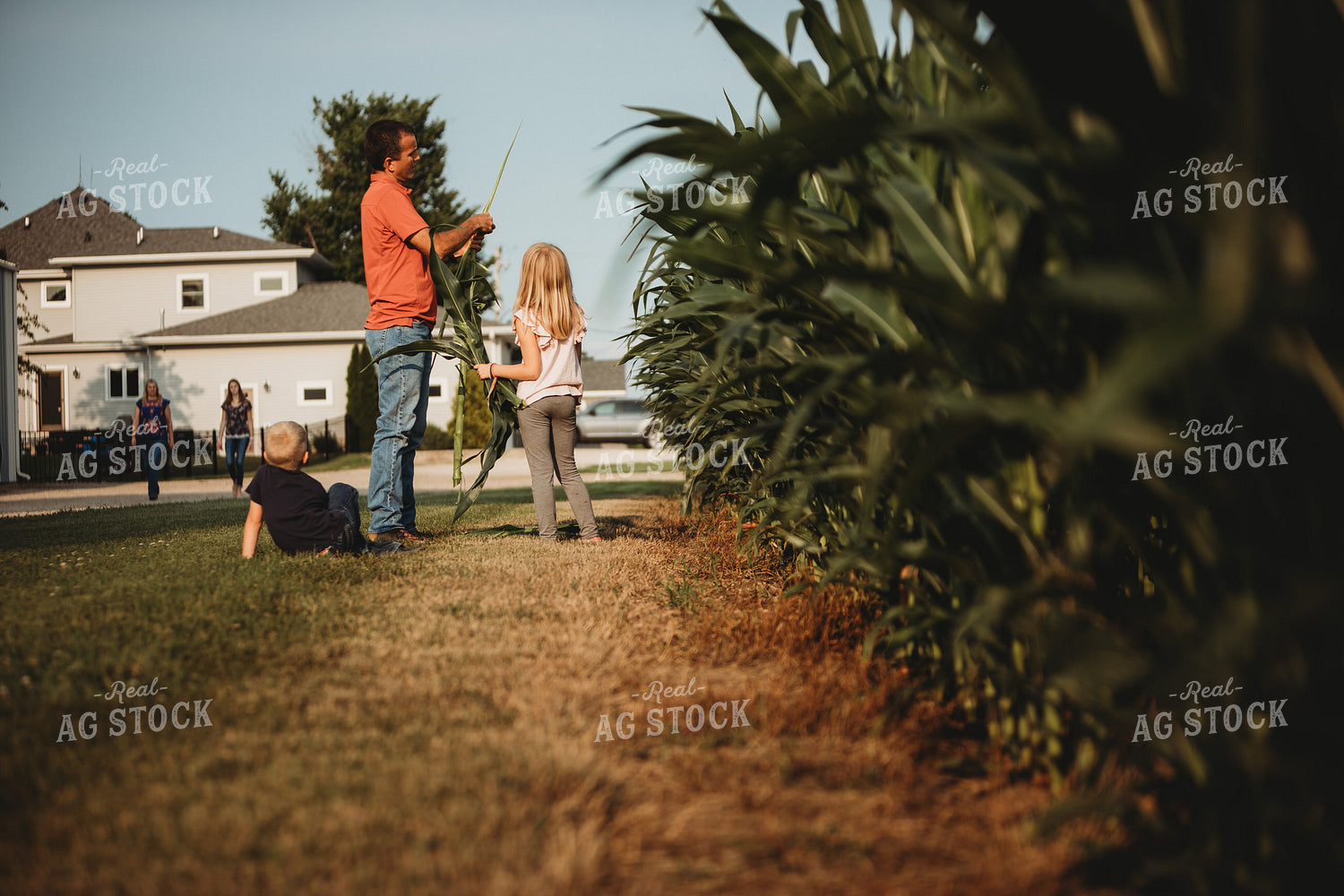 Farmer and Farm Kids Checking Corn Crop 4504